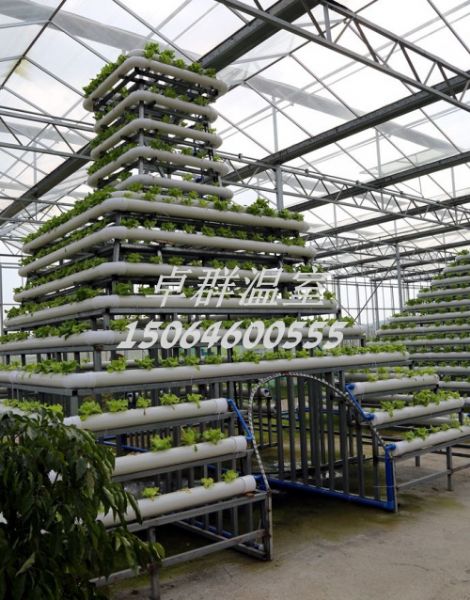 湖北省孝感市無(wú)土栽培